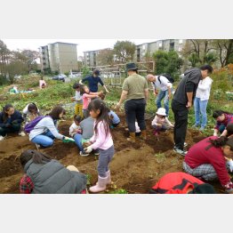土いじりに大満足（Ｃ）日刊ゲンダイ