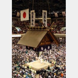 両国国技館（Ｃ）日刊ゲンダイ