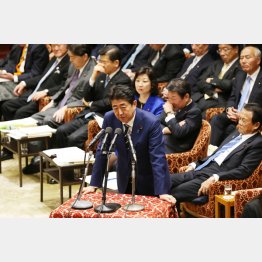 まともに答える気ナシ（Ｃ）日刊ゲンダイ