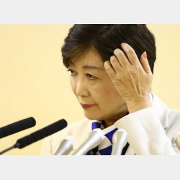 小池知事はパブコメをどう受け止めるのか（Ｃ）日刊ゲンダイ