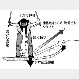 イラスト・渡辺隆司