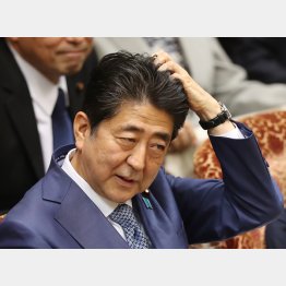 その場しのぎ政権の行く末は…（Ｃ）日刊ゲンダイ
