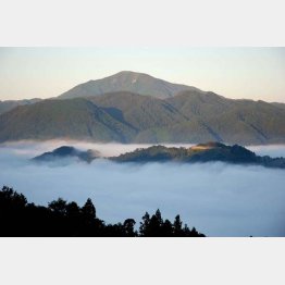 冬の朝日に照らされる神秘的な雲上の城（提供写真）