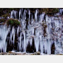 三十槌の氷柱（提供写真）