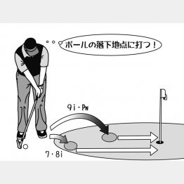 イラスト・渡辺隆司