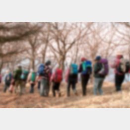 写真はイメージ（Ｃ）日刊ゲンダイ