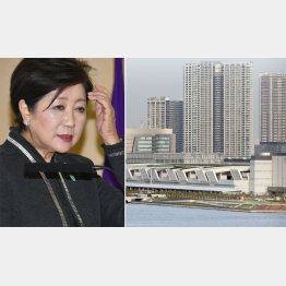 自縄自縛でドロ沼の小池都知事と開場日程が決まった豊洲市場（Ｃ）日刊ゲンダイ