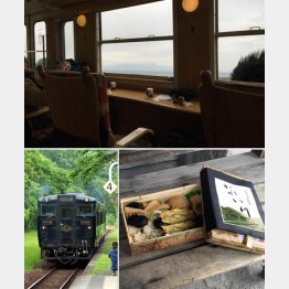 「指宿たまて箱」の全席は海に面した回転席とソファシート（上）、列車「はやとの風」と駅弁「かれい川～百年の旅物語～」（下）／（Ｃ）日刊ゲンダイ