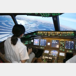 目の前に裕福層の住む人工島が広がる（Ｃ）日刊ゲンダイ