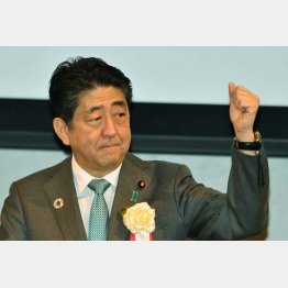 ハシゴを外された（Ｃ）日刊ゲンダイ