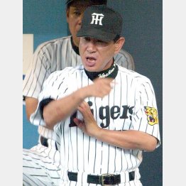 阪神時代も選手に恐れられた（Ｃ）日刊ゲンダイ