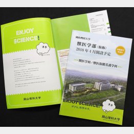 尾を引く「加計問題」／（Ｃ）日刊ゲンダイ