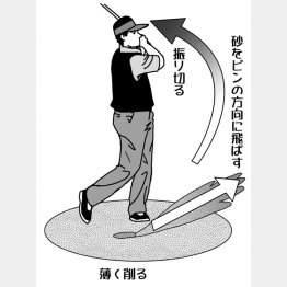 イラスト・渡辺隆司