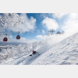 パウダースノー！（提供写真）