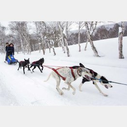 時速４０キロで疾走（提供写真）