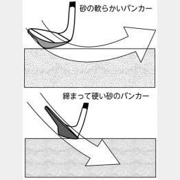 イラスト・渡辺隆司