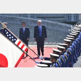 米国のトランプ大統領にベッタリの安倍首相（Ｃ）ＪＭＰＡ