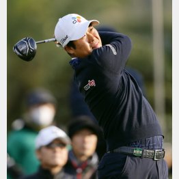 ドンファン（Ｃ）共同通信社