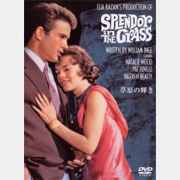 DVD「草原の輝き」／（C)ワーナー・ブラザース　ホームエンターテインメント