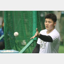 自主トレを行う清宮（Ｃ）日刊ゲンダイ