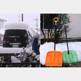 雪かきスコップ（右）は前日に売れた！（Ｃ）日刊ゲンダイ