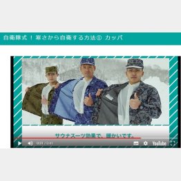 （自衛隊ＨＰから）