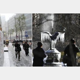 つららができた東京・日比谷公園の噴水（右）／（Ｃ）共同通信社