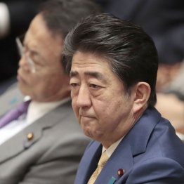 すっかり弱気に…（Ｃ）日刊ゲンダイ