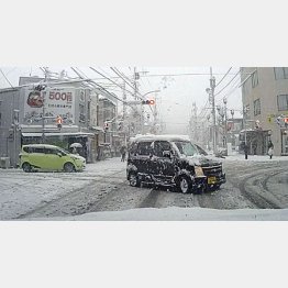 普通仕様と何が違う？（Ｃ）日刊ゲンダイ