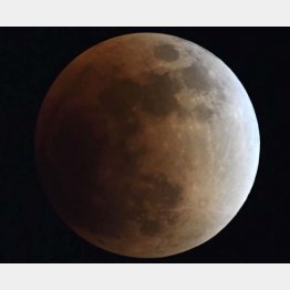 ２６５年に１度の天体ショー（Ｃ）共同通信社