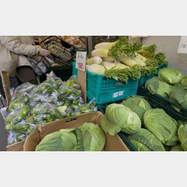 価格の高騰はいつまで続くのか（Ｃ）日刊ゲンダイ