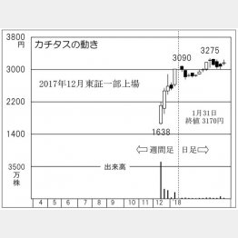 カチタス（Ｃ）日刊ゲンダイ