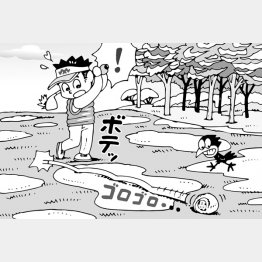 （イラスト・小山混）