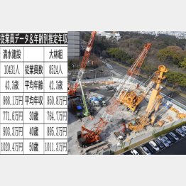 清水建設と大林組（Ｃ）日刊ゲンダイ