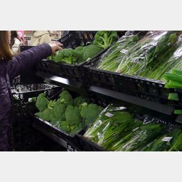 老化防止には濃い野菜（Ｃ）日刊ゲンダイ