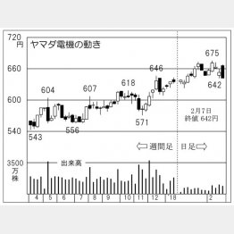 ヤマダ電機（Ｃ）日刊ゲンダイ