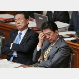 ナメている（Ｃ）日刊ゲンダイ