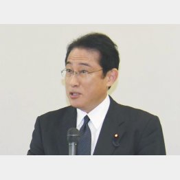 「財政再建」を打ち出す岸田政調会長／（Ｃ）日刊ゲンダイ