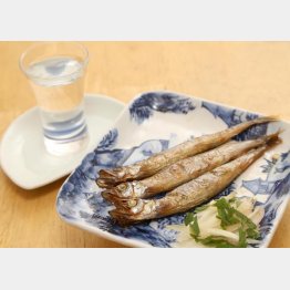 合う酒＝芋焼酎、日本酒（Ｃ）日刊ゲンダイ