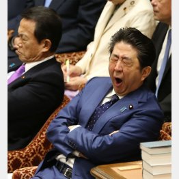 あくびをする安倍首相（Ｃ）日刊ゲンダイ