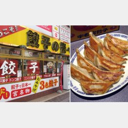 ギョーザファンが注目する都市は…（Ｃ）日刊ゲンダイ
