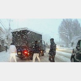 備えあれば憂いなし（Ｃ）日刊ゲンダイ