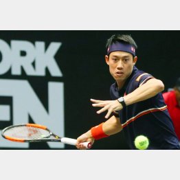 ニューヨーク・オープンは４強入り（Ｃ）共同通信社