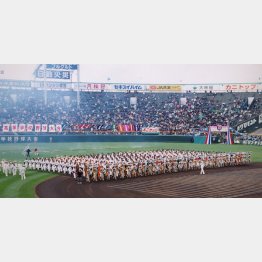 写真はイメージ（Ｃ）日刊ゲンダイ