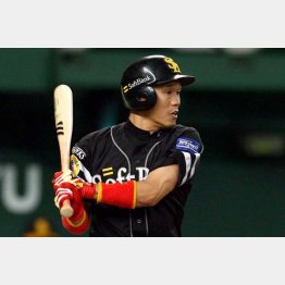 ０４年には最多安打のタイトルをとった大村（Ｃ）日刊ゲンダイ