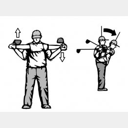 イラスト・ドラゴン２