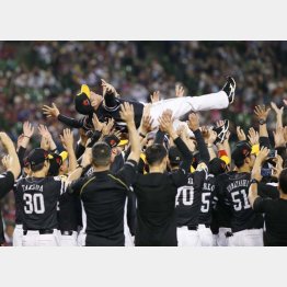 どうせ応援するなら手堅く賢く（Ｃ）日刊ゲンダイ