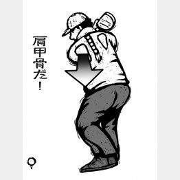 イラスト・ドラゴン２