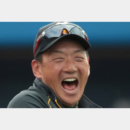 金本監督、最後まで笑っていられるか（Ｃ）日刊ゲンダイ