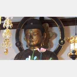 阿弥陀如来坐像（十楽寺）／（Ｃ）日刊ゲンダイ